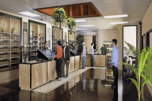 How to Fund Your Cannabusiness with Cannabis Business Loans