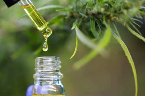 THE BEST WAY TO START A CBD OIL BUSINESS