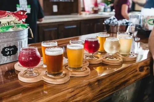 Brewery Business Plan