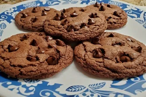 Business Plan on Edible Cookie Cup