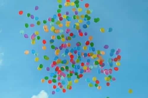 Mark’s Balloon Cabin Business Plan