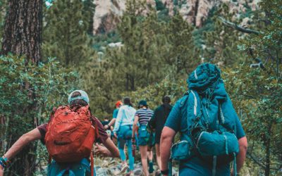 INSIGHT 2 Summer Camp Business Plan