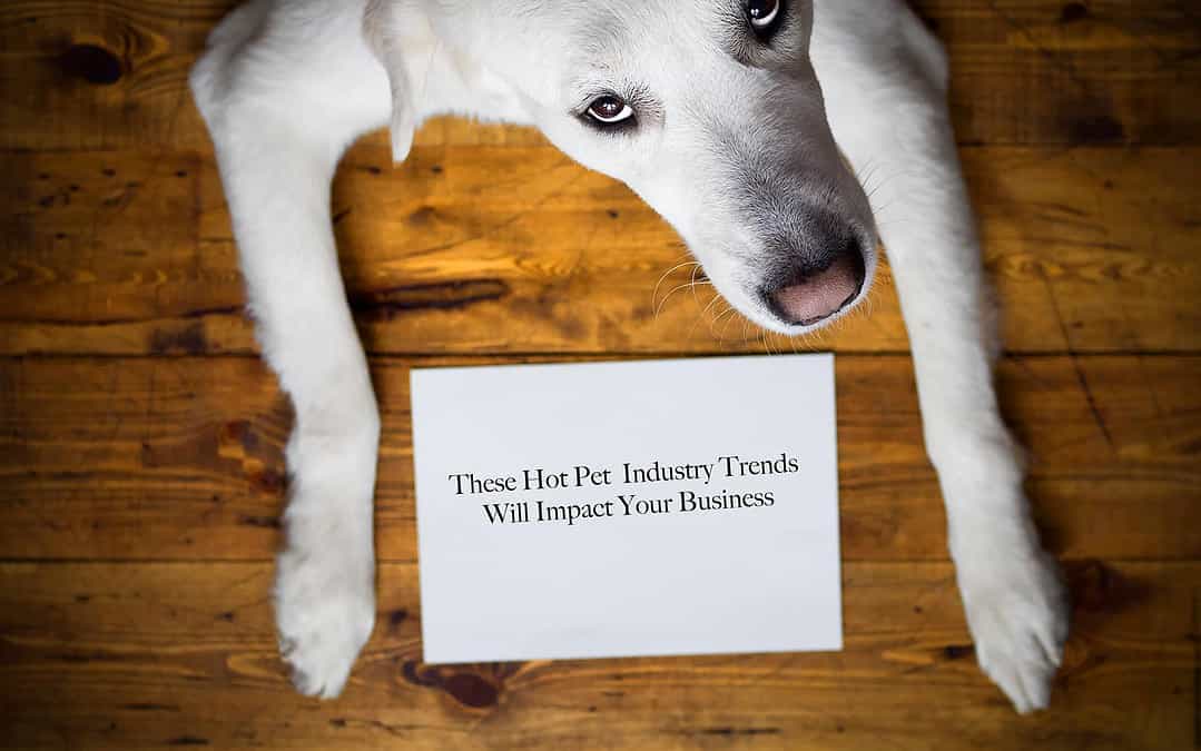 Five Key Pet Industry Trends to Watch