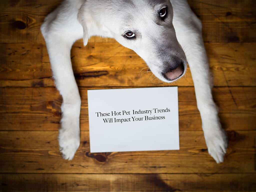 Hot Pet Industry Trends Blog 1