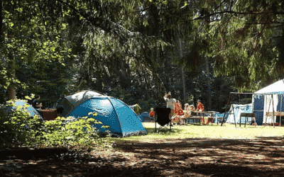 INSIGHT 4 Campground Business Plan