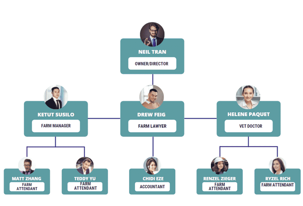 piggery farm business plan organogram
