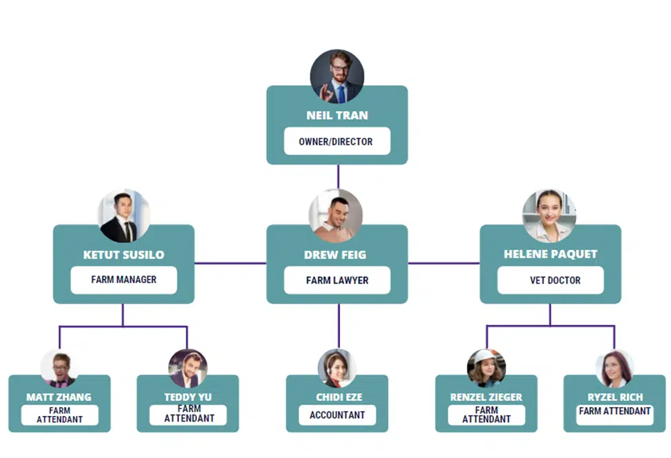 piggery farm business plan organogram