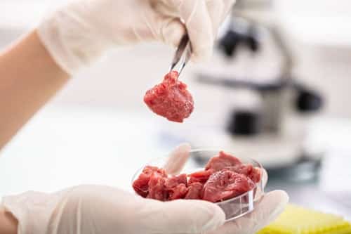 istockphotoculturedmeat