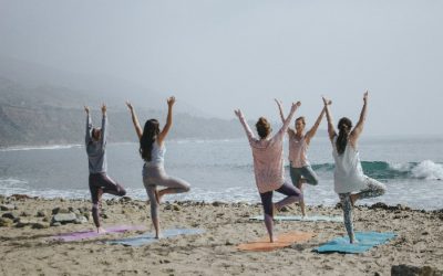 INSIGHT 6 Wellness Business Plan