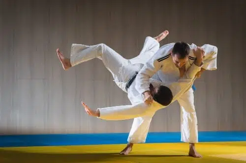 Martial Arts Business