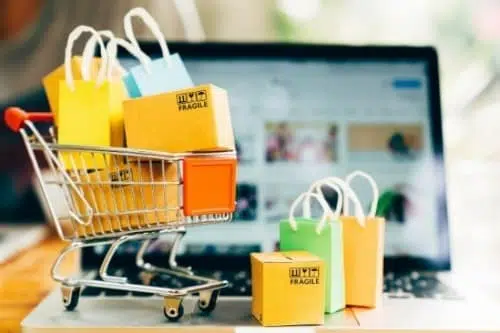Online Store Business Plan