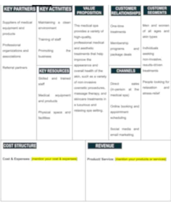 business model canvas of medical spa business plan