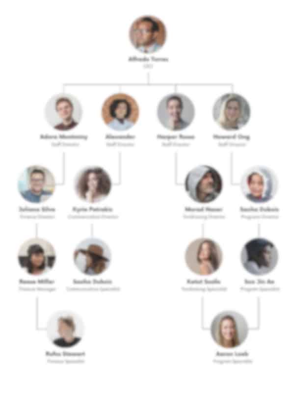 medical spa business plan organizational structure