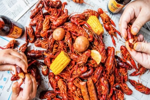 Crawfish Business Plan