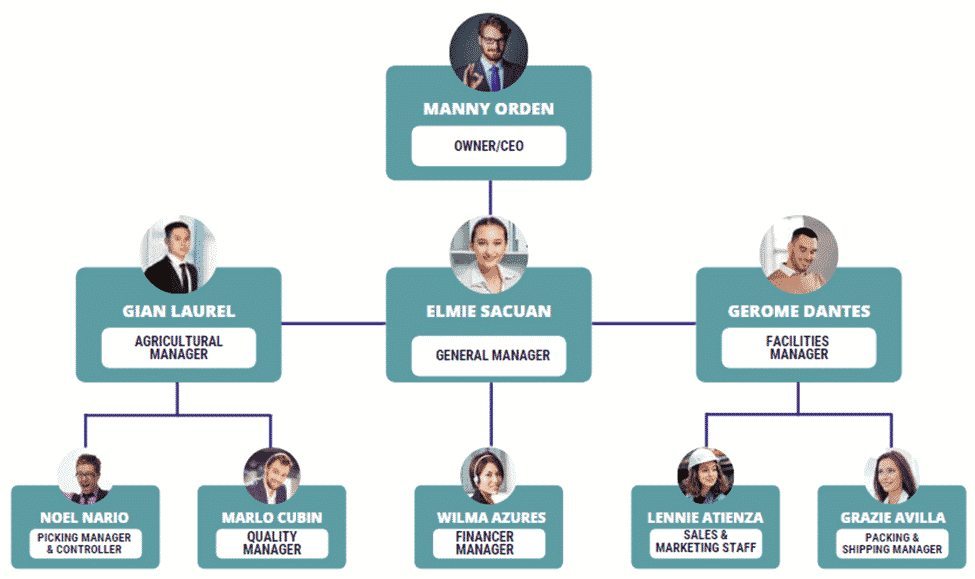 Green Tea business plan organogram