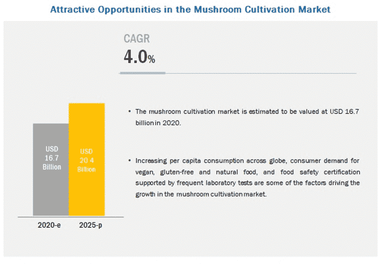 commercial cultivation business plan industry analysis