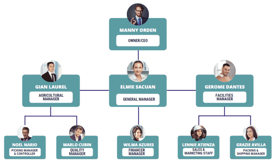 commercial cultivation business plan organogram
