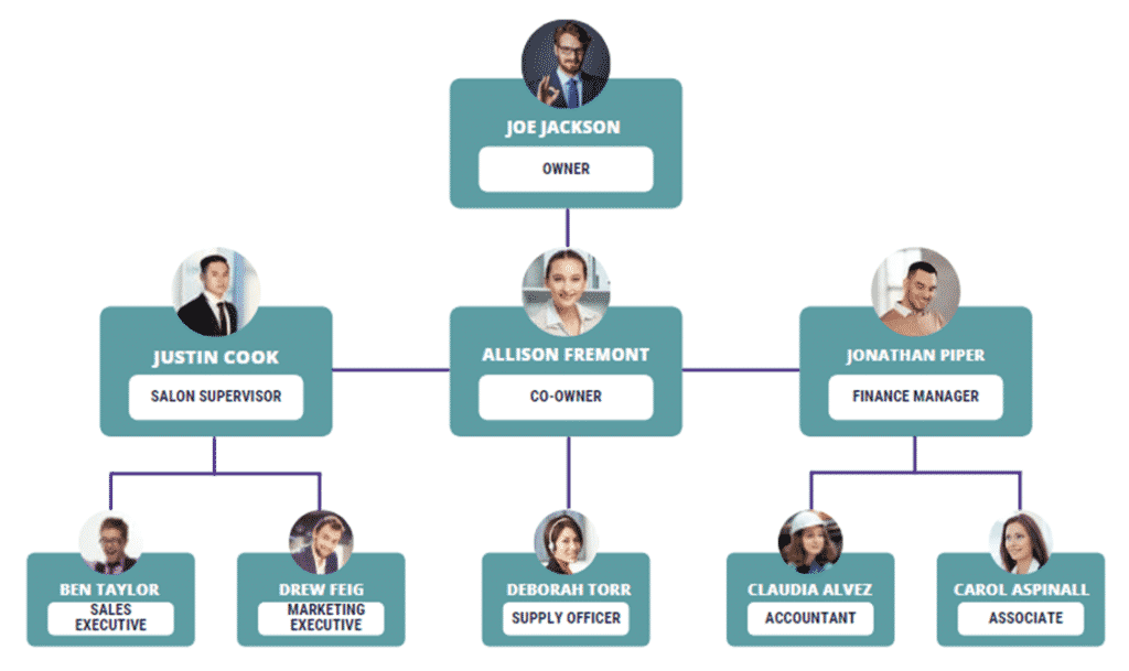 Laser Hair Removal business plan organogram