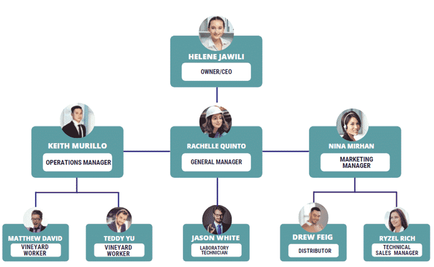 Winery business plan organogram