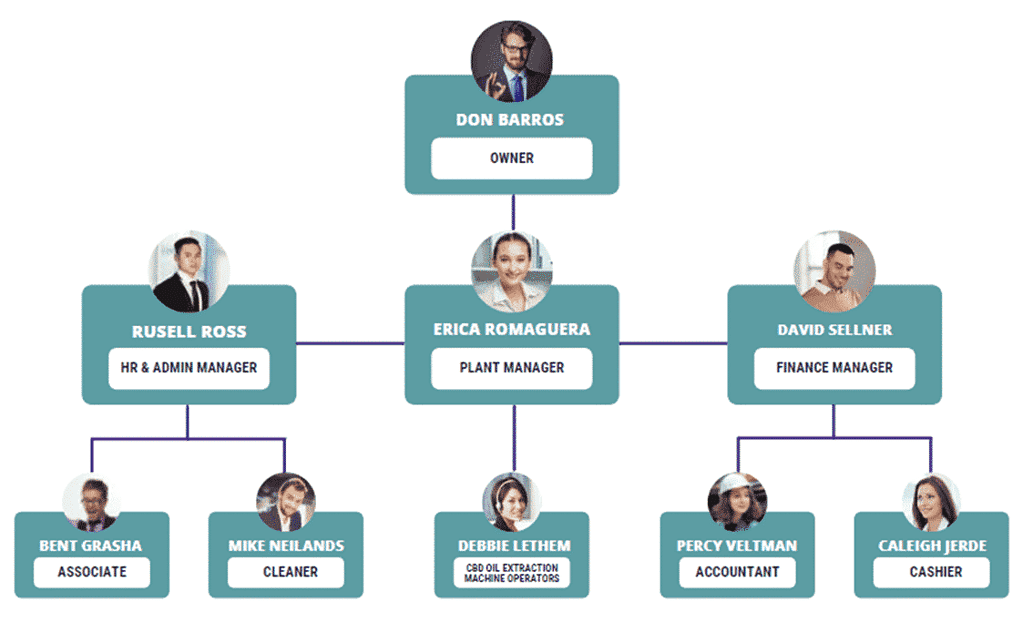 CBD Extraction business plan organogram