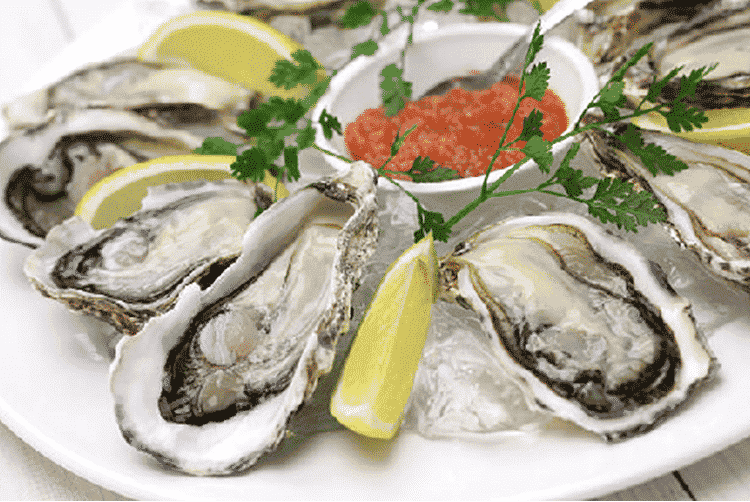 Oyster Farming Business Plan