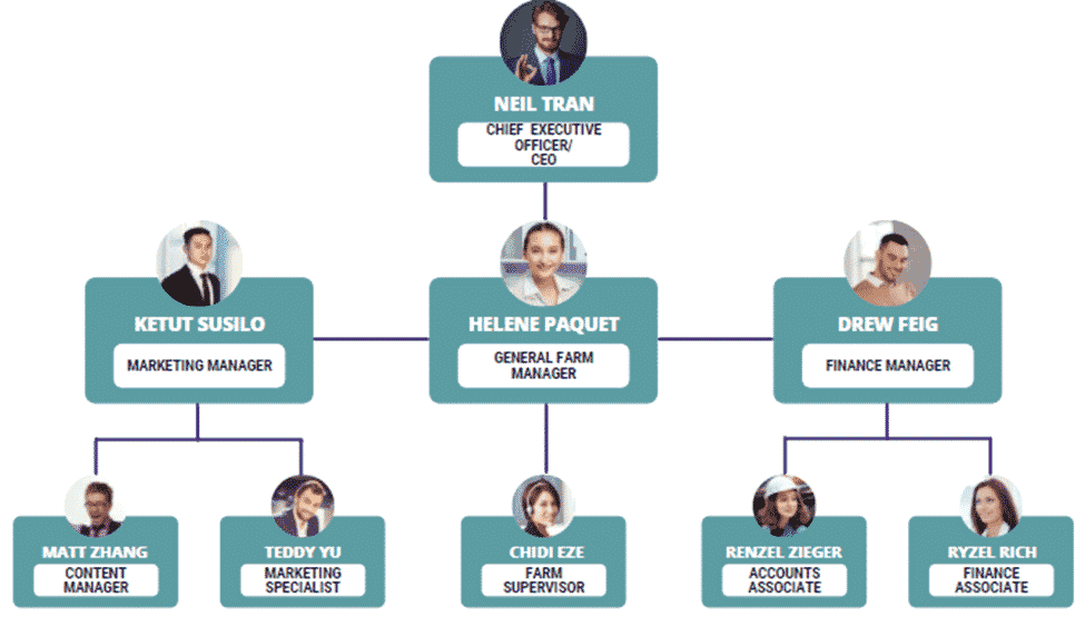 Hemp Farm Business Plan Organogram