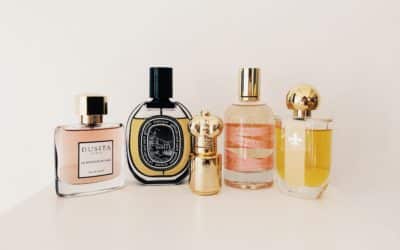 INSIGHT 1 Perfume Business Plan
