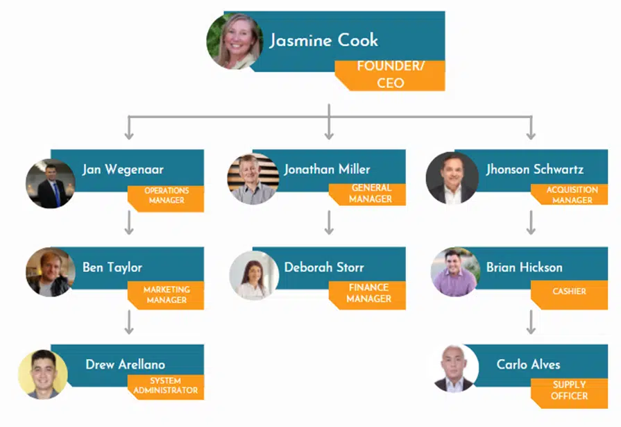 Organogram of online boutique business