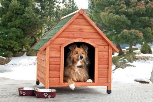 Dog Kennel