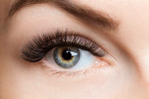Eyelash