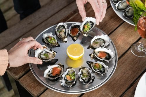 Oyster Farming