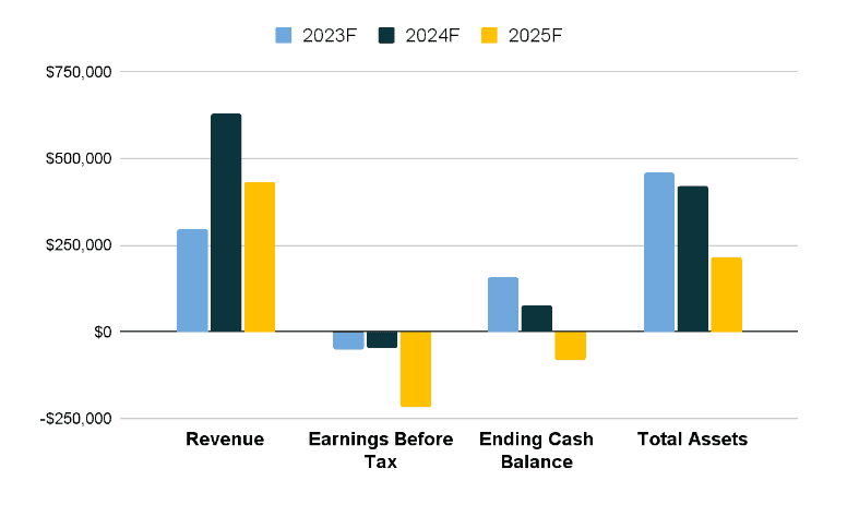 resort business financial overview