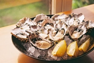 Oyster Farming 1