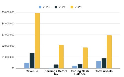 financial overview of medical spa business plan