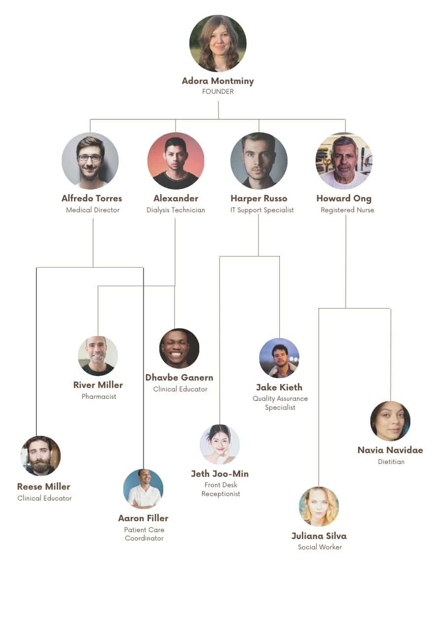 Dialysis Center Business Organogram