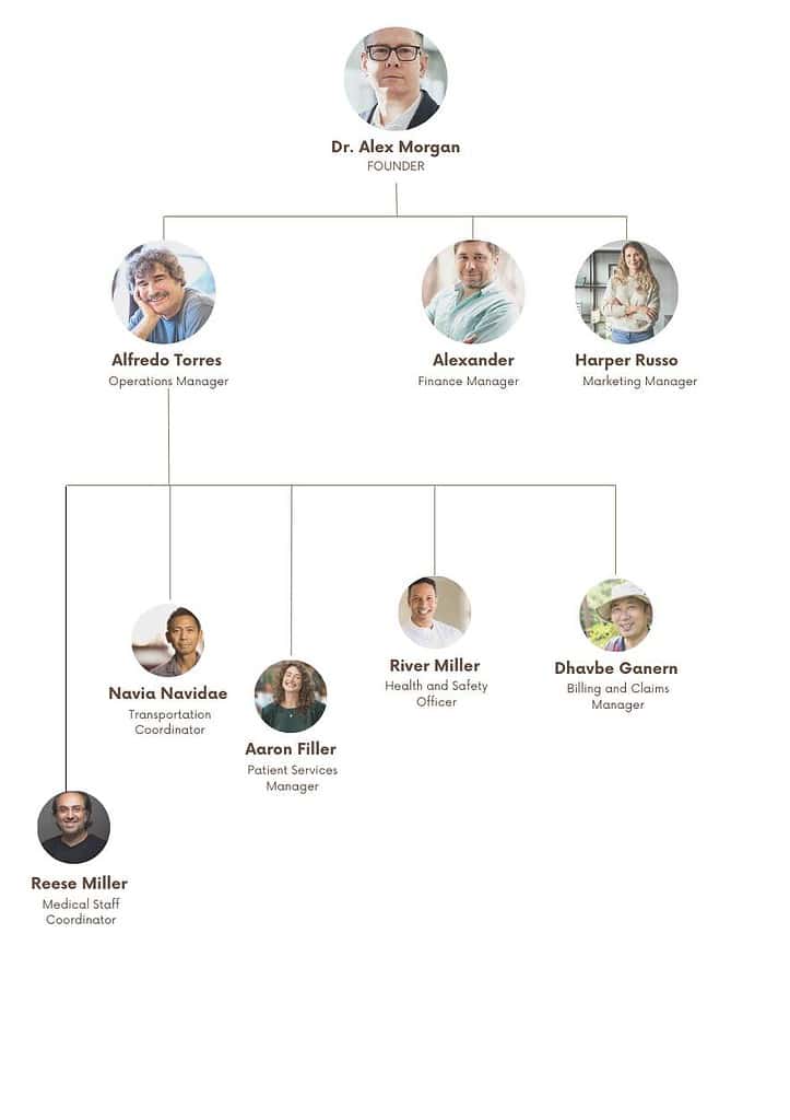 Non Emergency Medical Transportation Business Plan Organogram