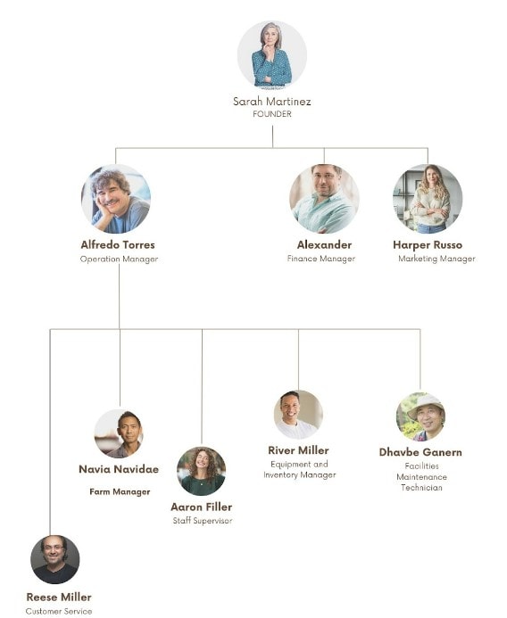 organogram of Poultry business plan