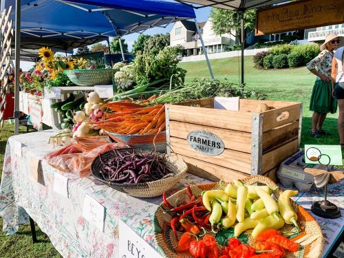 Farmers Market Business plan