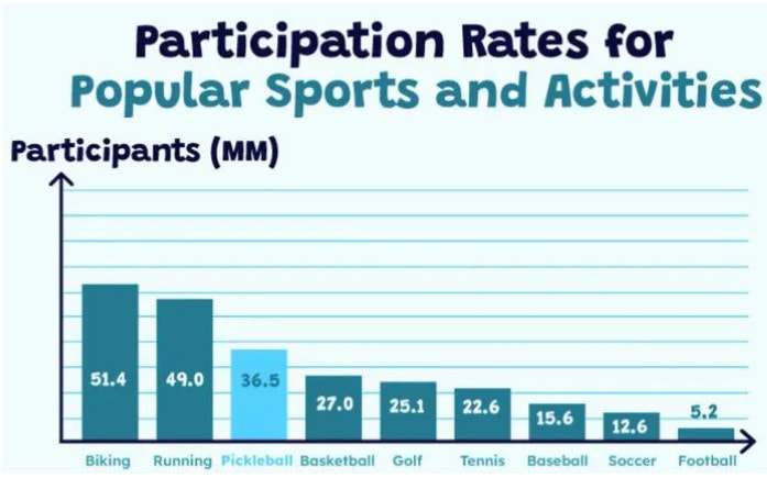 industry analysis of pickleball business plan