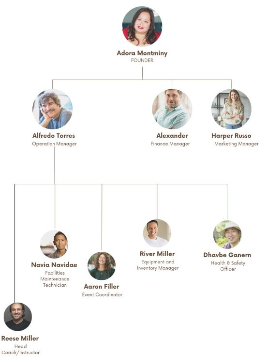 organogram of pickleball business plan