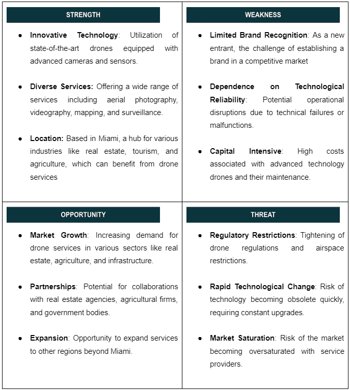 SWOT of drone business plan