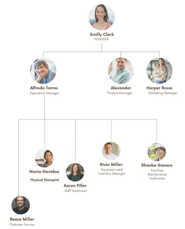 organogram of Physical therapy business plan