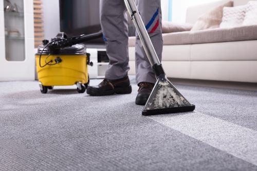 Carpet Cleaning Business Plan