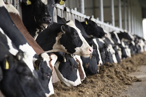 Impact of Methane Output From Various Sources