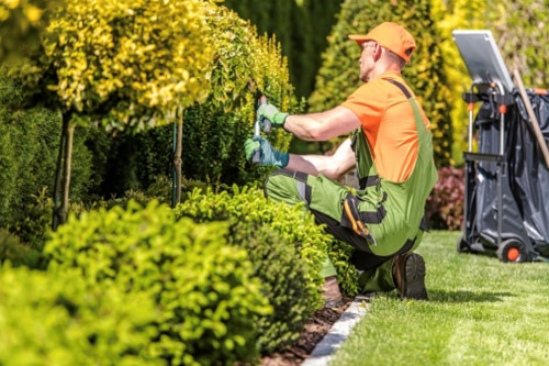 Landscaping Business Plan