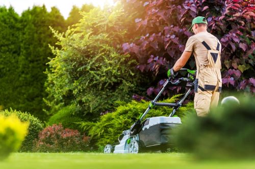 How to Start a Lawn Mowing Business