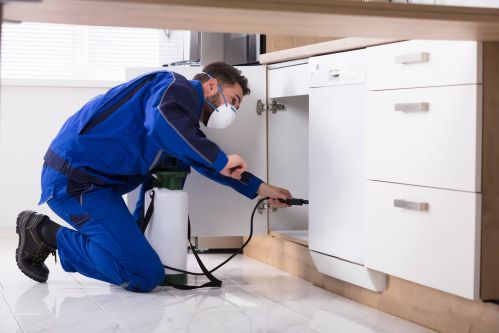 How to Start a Pest Control Business