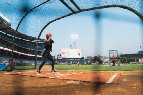 batting cage business