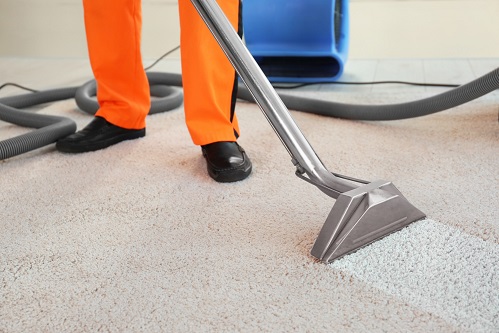 carpet cleaning business