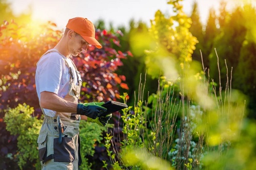 How to Start a Landscaping Business